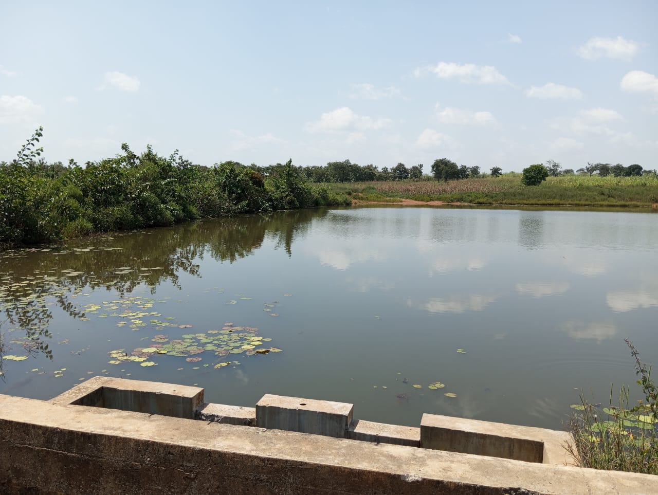 Auctioneering support for distressed property